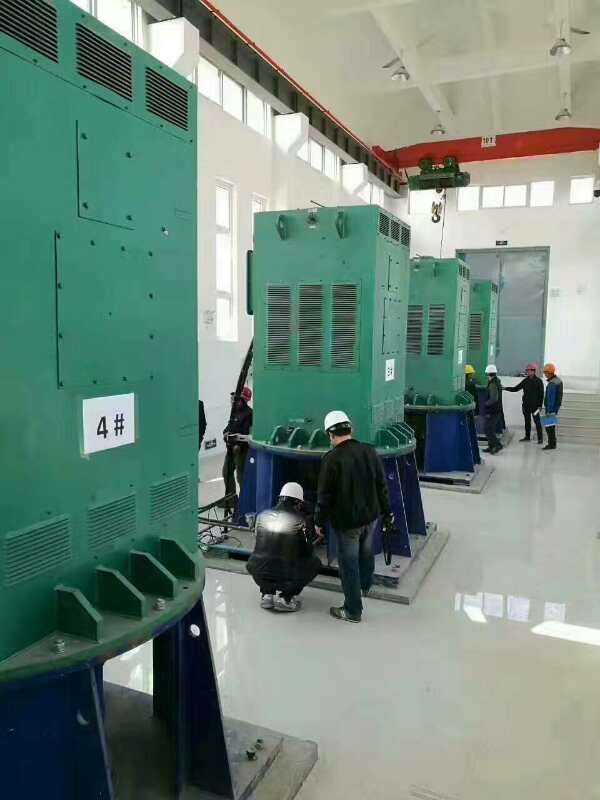 礼县某污水处理厂使用我厂的立式高压电机安装现场